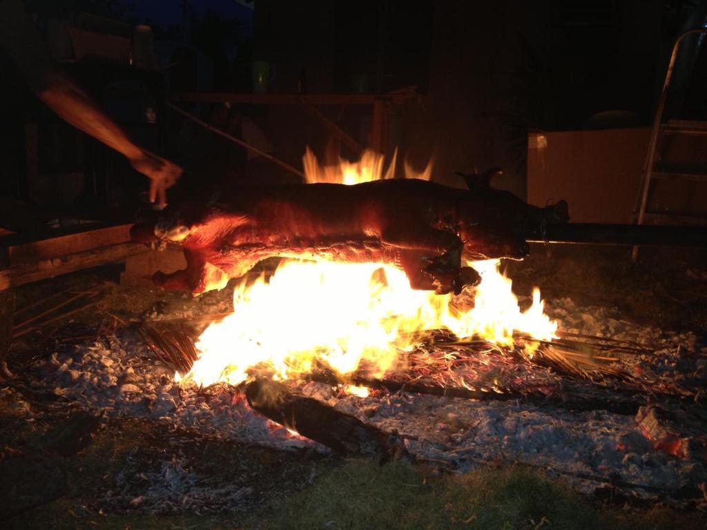 Alcantara  Moalboal Beach Resort מראה חיצוני תמונה
